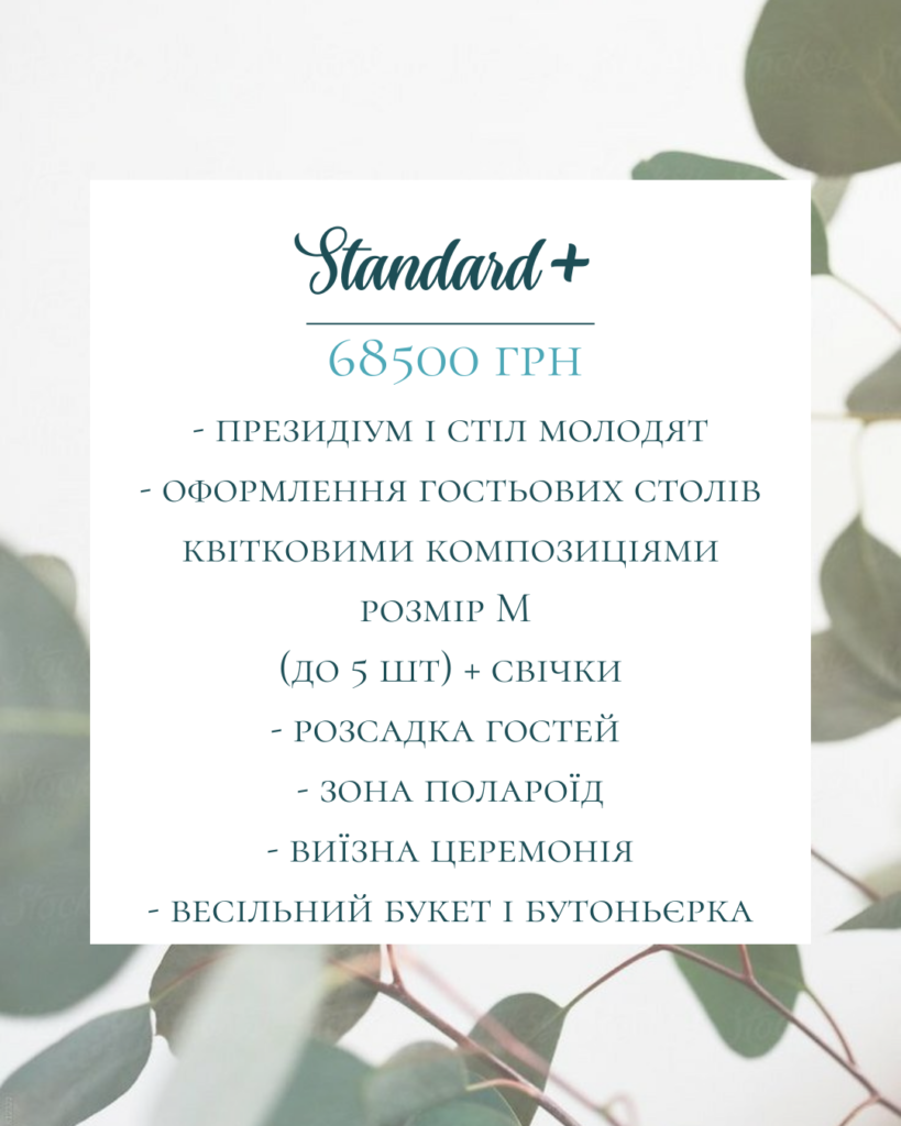 Standard+